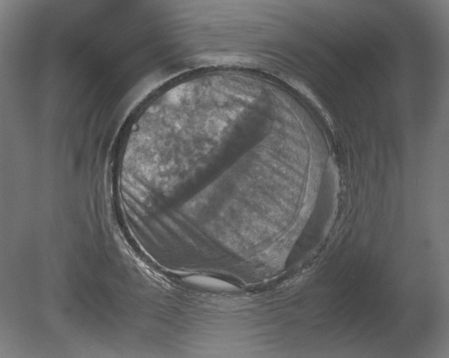 X0000080660983200701050938