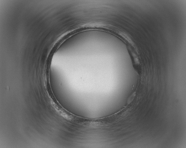 X0000080660984200701050938