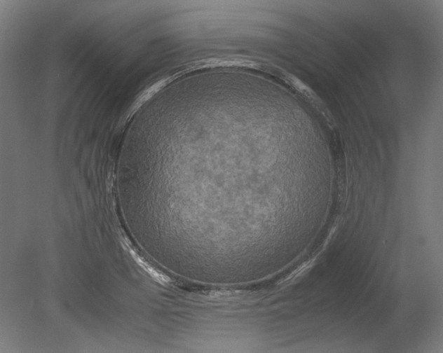 X0000080660985200701050938