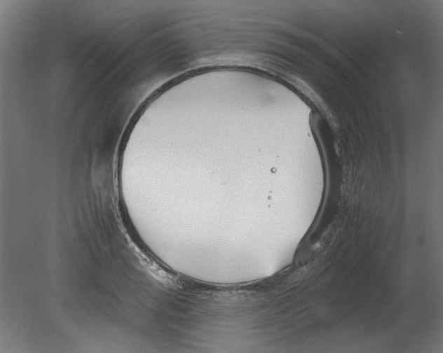 X0000080660988200701050938