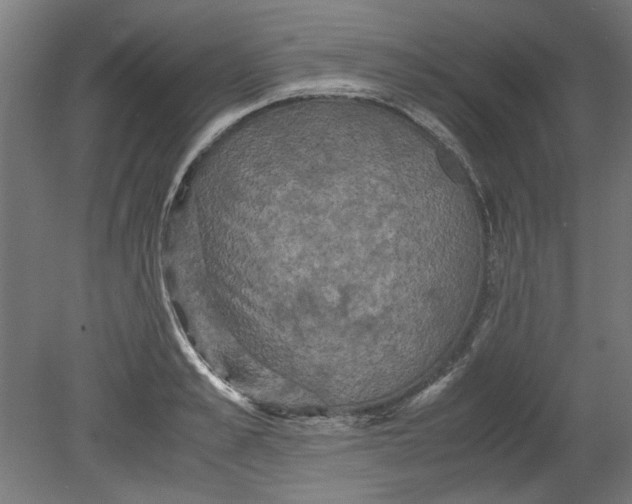 X0000080660989200701050938