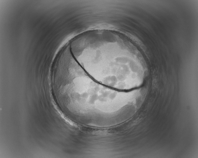 X0000080660990200701050938