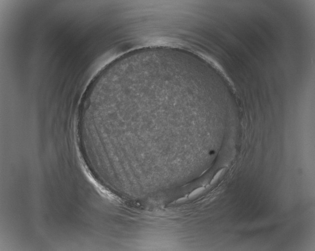 X0000080660991200701050938