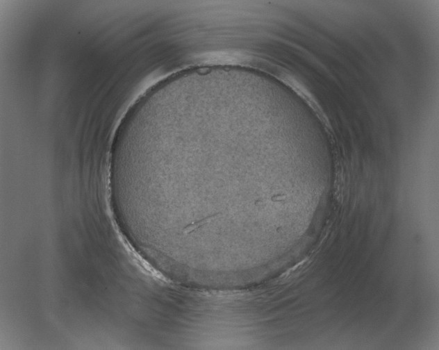 X0000080660992200701050938