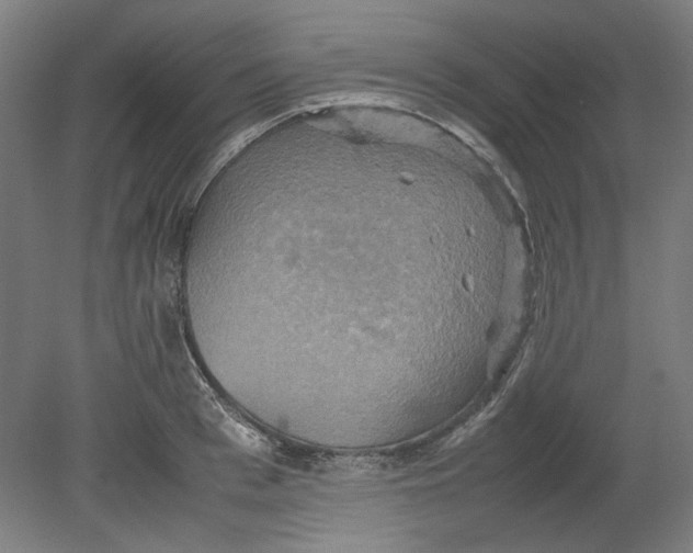 X0000080660993200701050938