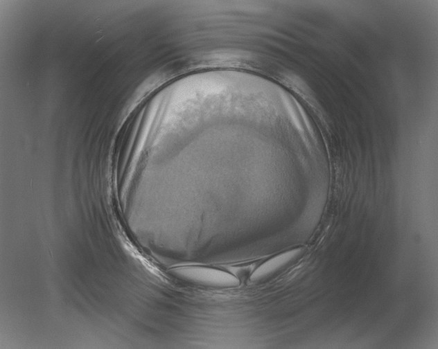 X0000080660994200701050938