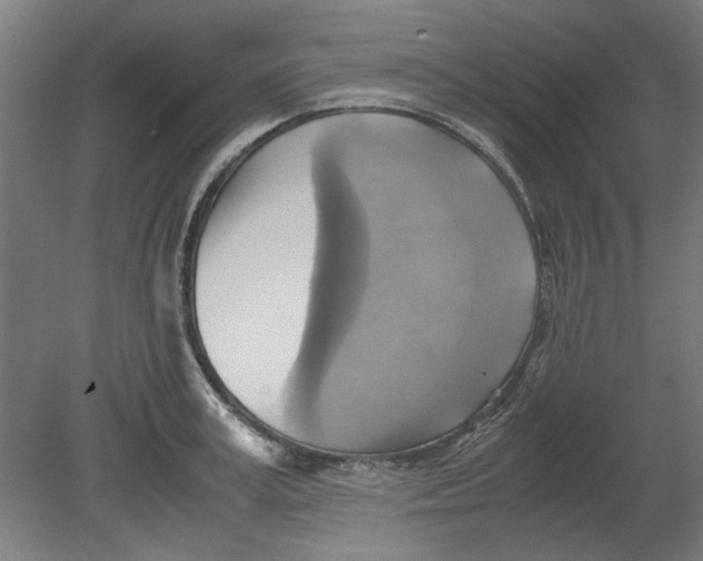 X0000080660995200701050938