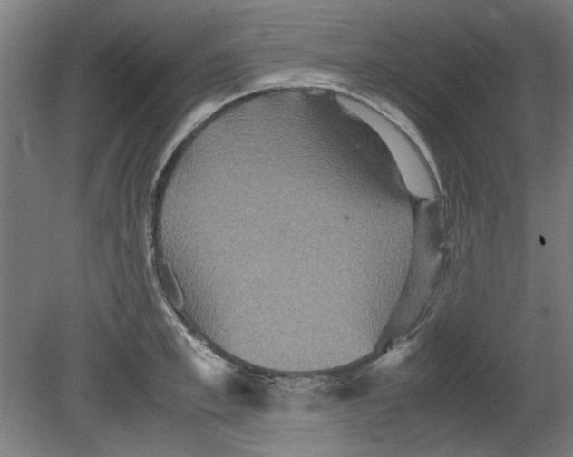 X0000080660997200701050938