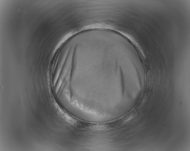 X0000080660998200701050938