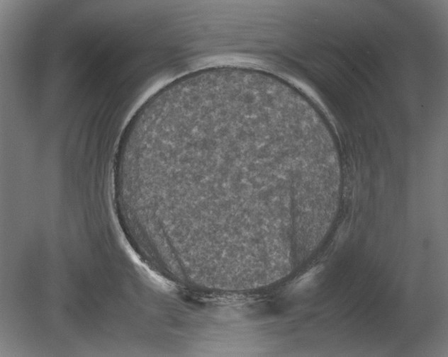 X0000080660999200701050938