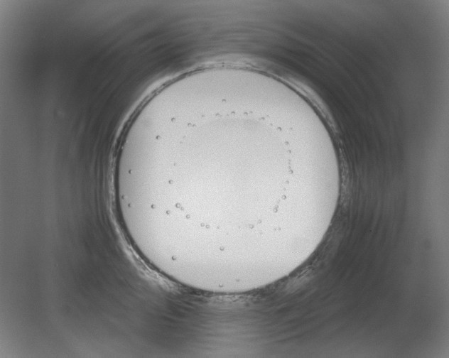 X0000080661000200701050938