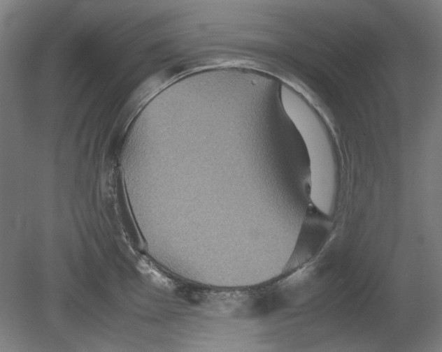 X0000080661001200701050938