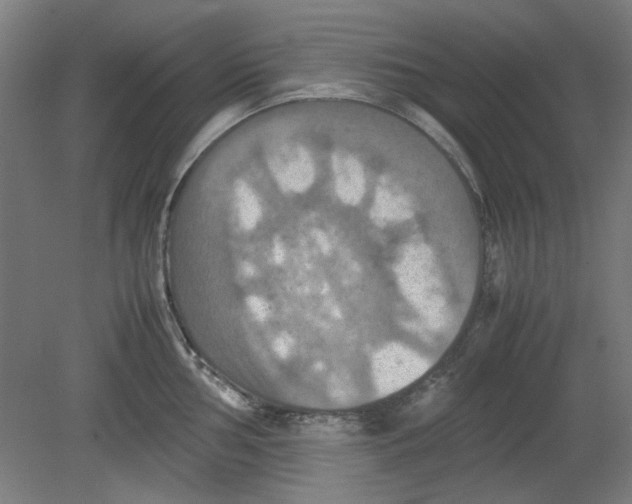 X0000080661002200701050938