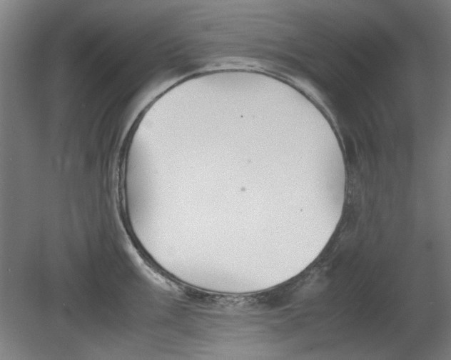 X0000080661003200701050938