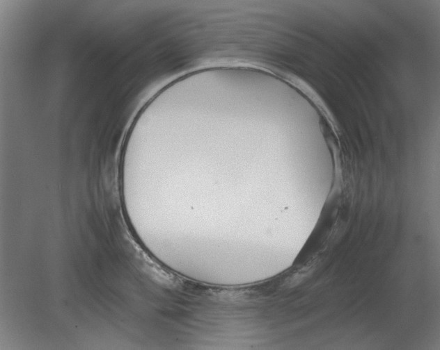 X0000080661004200701050938