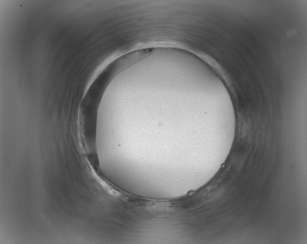 X0000080661006200701050938