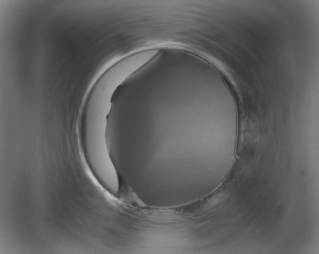 X0000080661007200701050938