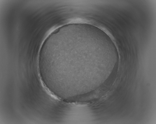 X0000080661008200701050938