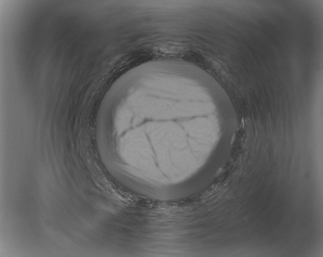 X0000080661009200701050937