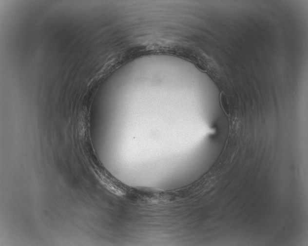 X0000080661012200701050937