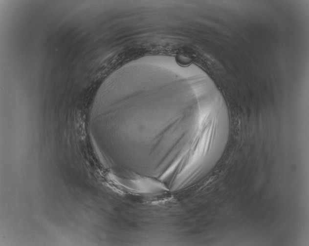 X0000080661013200701050937