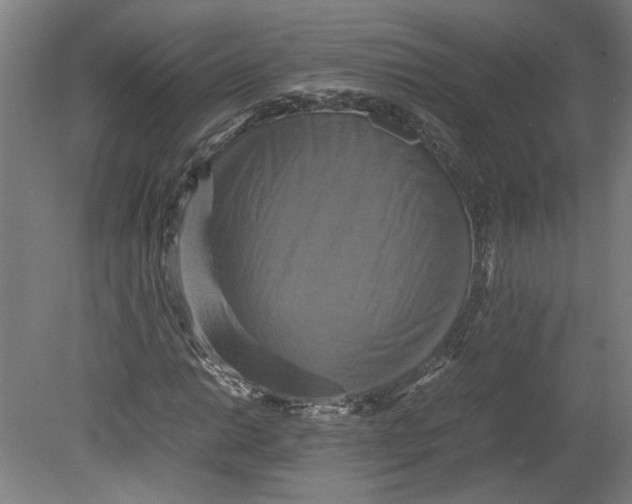 X0000080661014200701050937