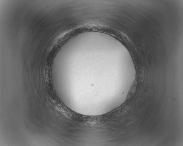 X0000080661016200701050937