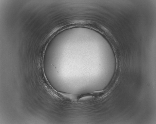 X0000080661017200701050937