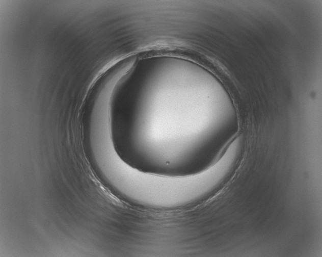 X0000080661018200701050937