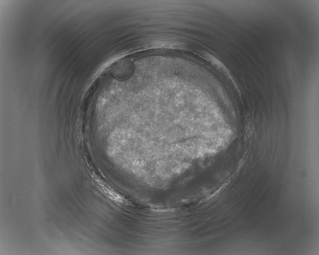 X0000080661019200701050937