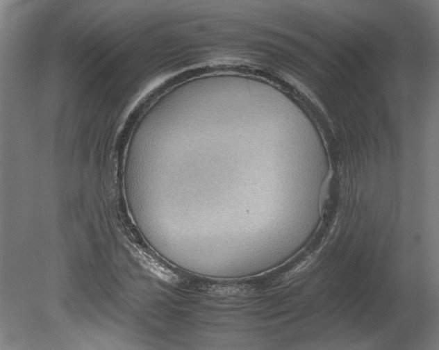 X0000080661021200701050937