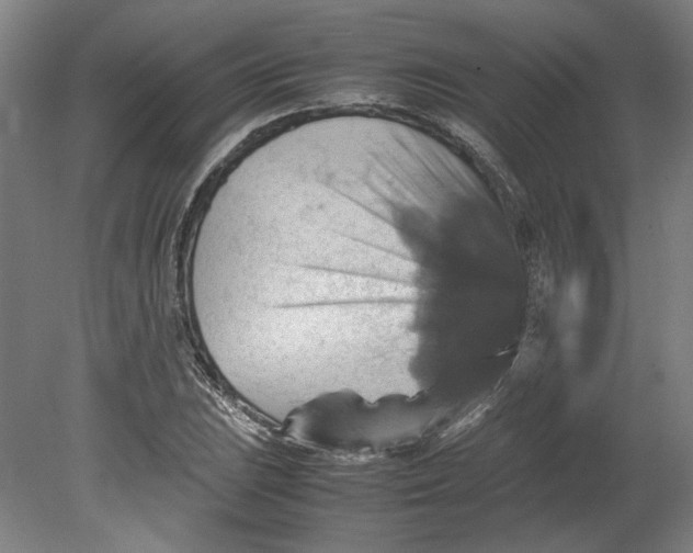 X0000080661023200701050937