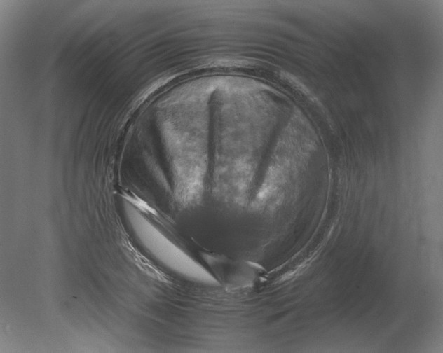 X0000080661025200701050937