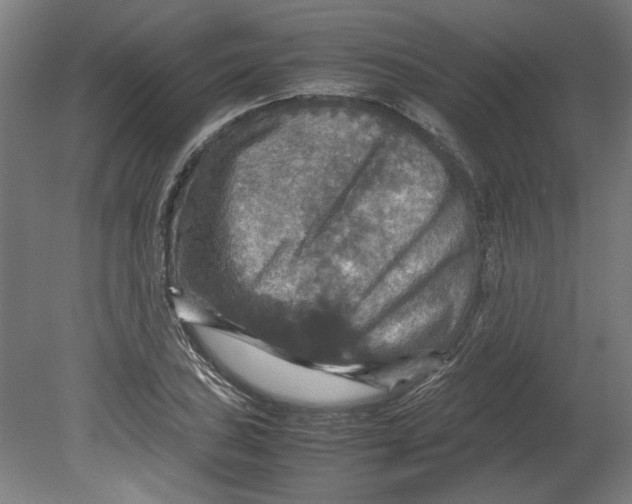 X0000080661027200701050937