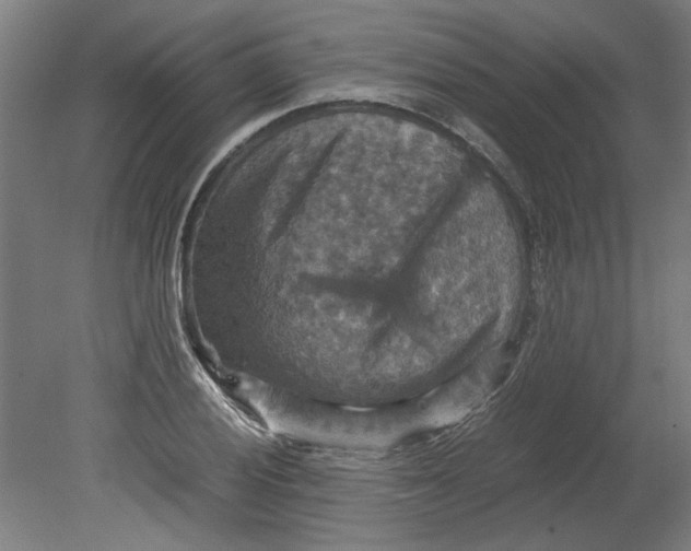 X0000080661028200701050937