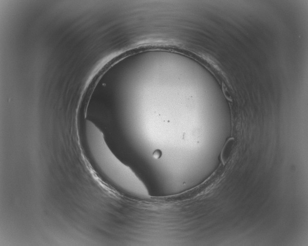 X0000080661030200701050937