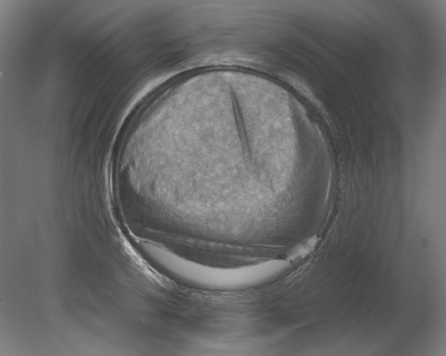 X0000080661032200701050937