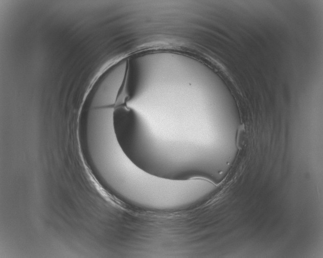 X0000080661034200701050937