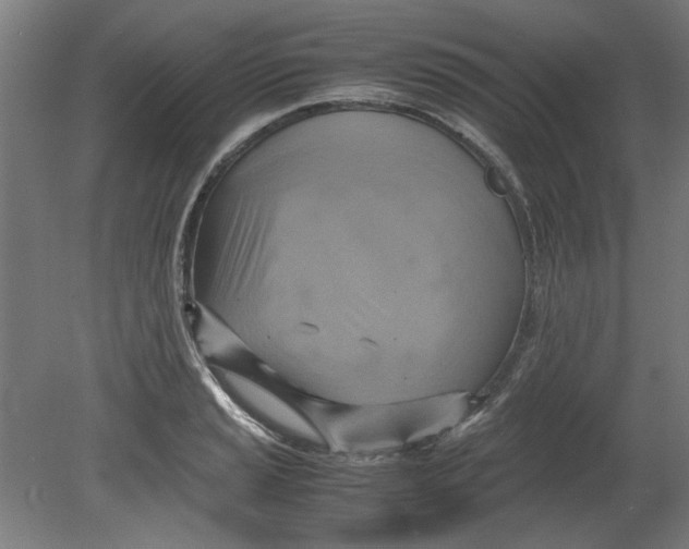 X0000080661037200701050937