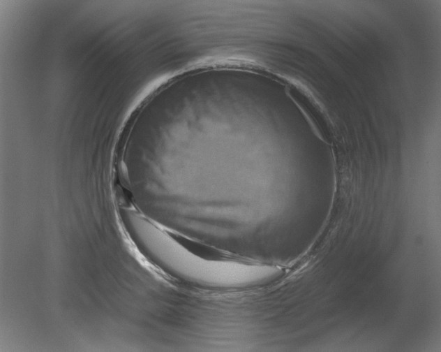 X0000080661038200701050937