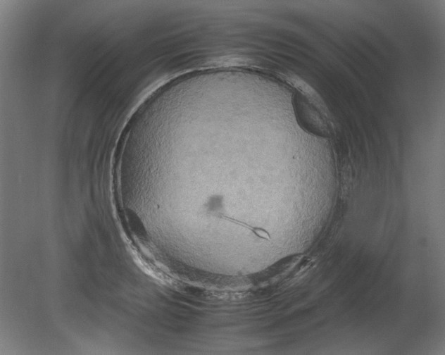 X0000080661039200701050937