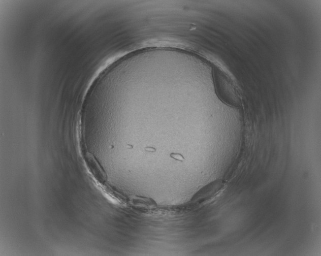 X0000080661040200701050937