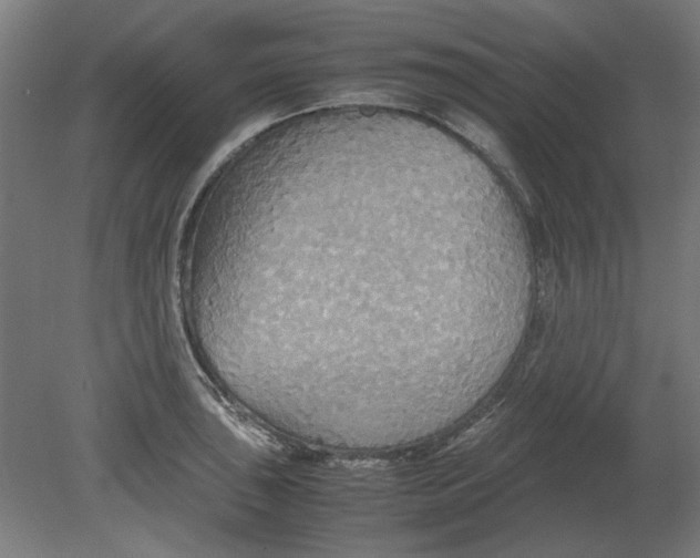 X0000080661043200701050937