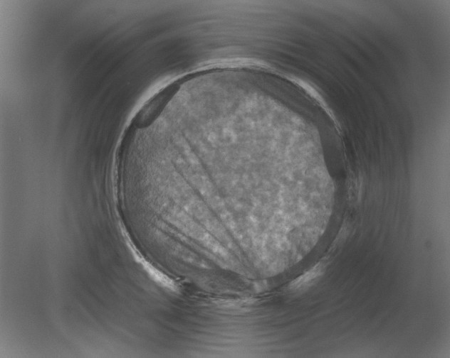 X0000080661046200701050937