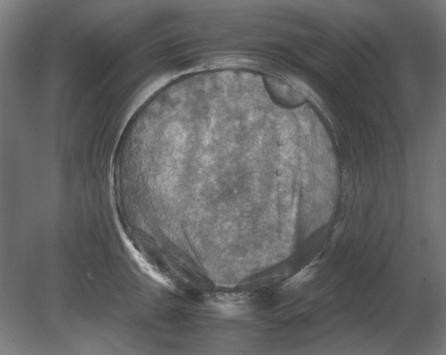 X0000080661047200701050937