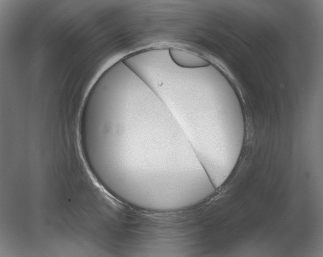 X0000080661048200701050937