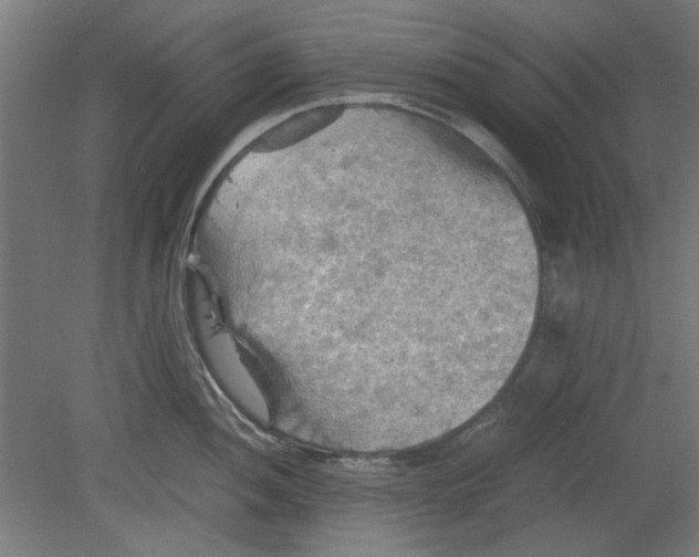 X0000080661052200701050938