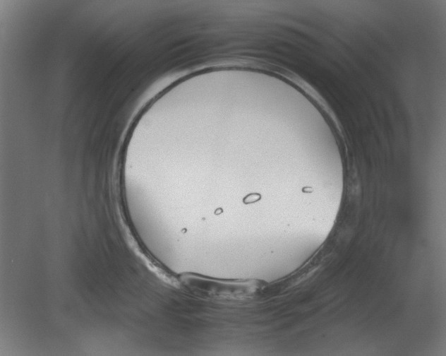 X0000080661053200701050938