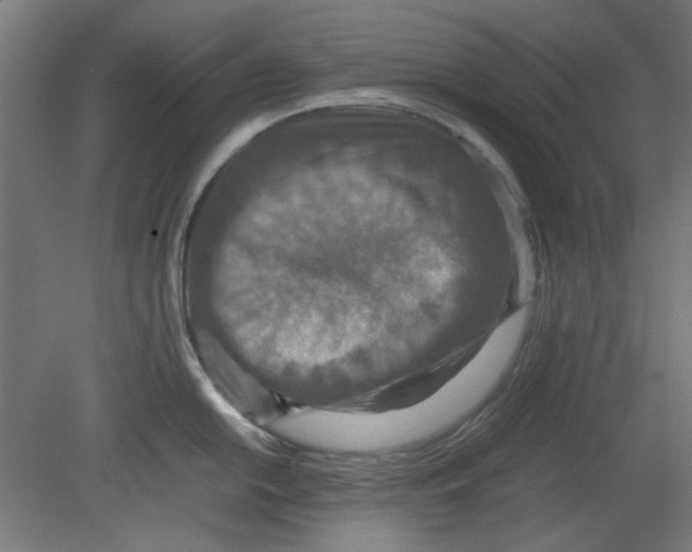 X0000080661054200701050938