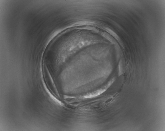 X0000080661055200701050938